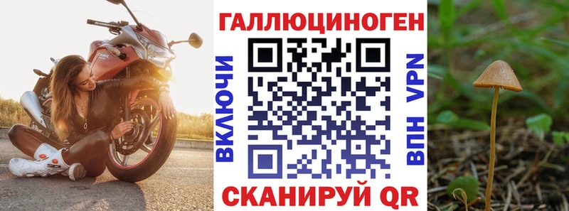 даркнет сайт  Санкт-Петербург  Псилоцибиновые грибы ЛСД 