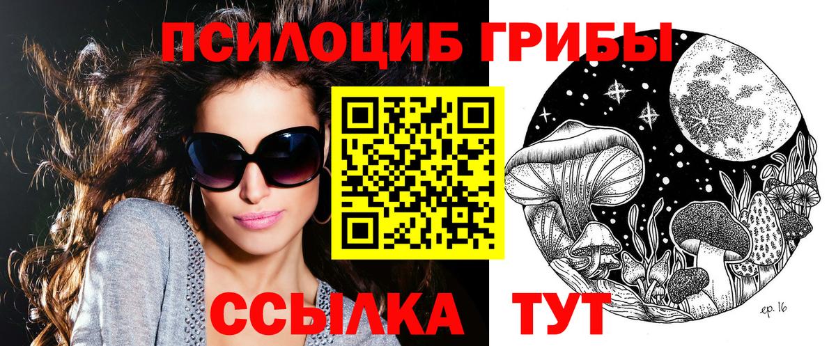 Галлюциногенные грибы Psilocybe  купить наркотик  Санкт-Петербург  Вход с VPN  Псилоцибиновые грибы GOLDEN TEACHER 