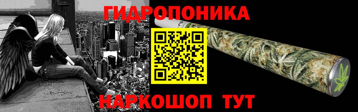 Санкт-Петербург  Шишки марихуана план  Вход с VPN  Каннабис Bruce Banner  Каннабис OG Kush 